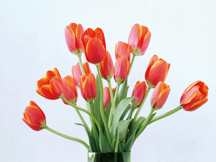 不同光線(xiàn)在攝影中(zhōng)的表現