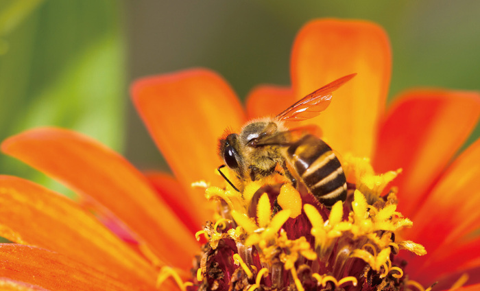不同光線(xiàn)在攝影中(zhōng)的表現