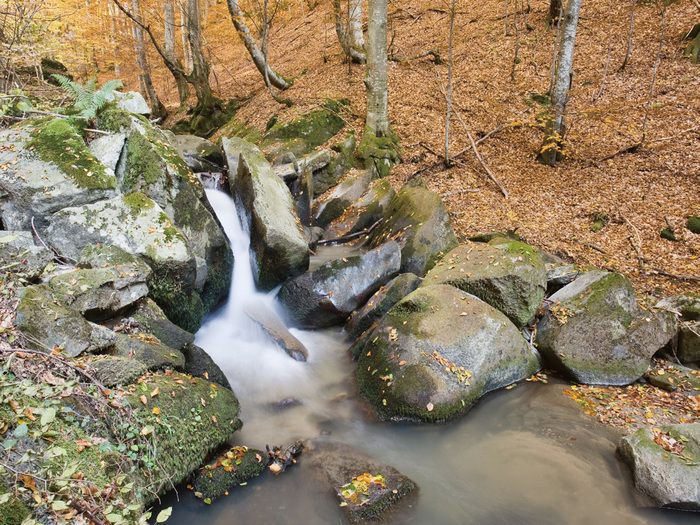 不同光線(xiàn)在攝影中(zhōng)的表現