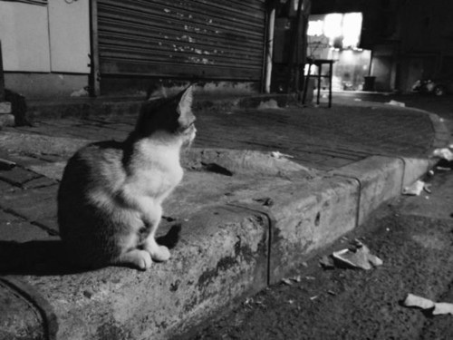 教你給照片起個好标題 讓它更吸引人