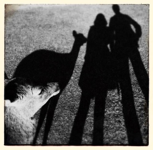 教你給照片起個好标題 讓它更吸引人