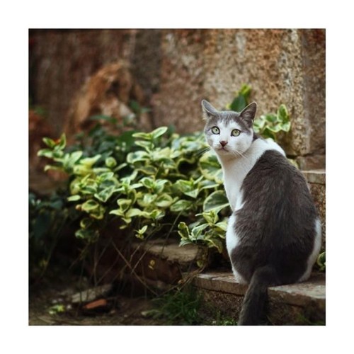 教你給照片起個好标題 讓它更吸引人