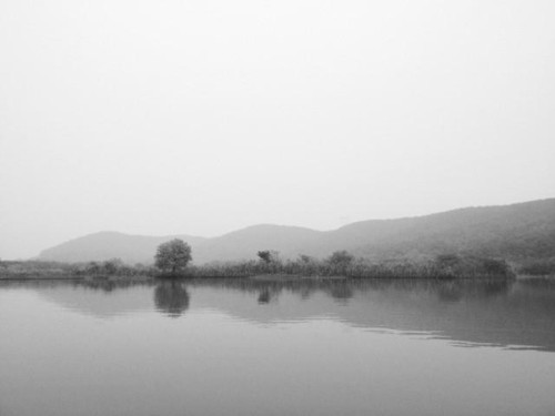 教你給照片起個好标題 讓它更吸引人